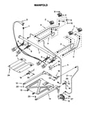 Manifold