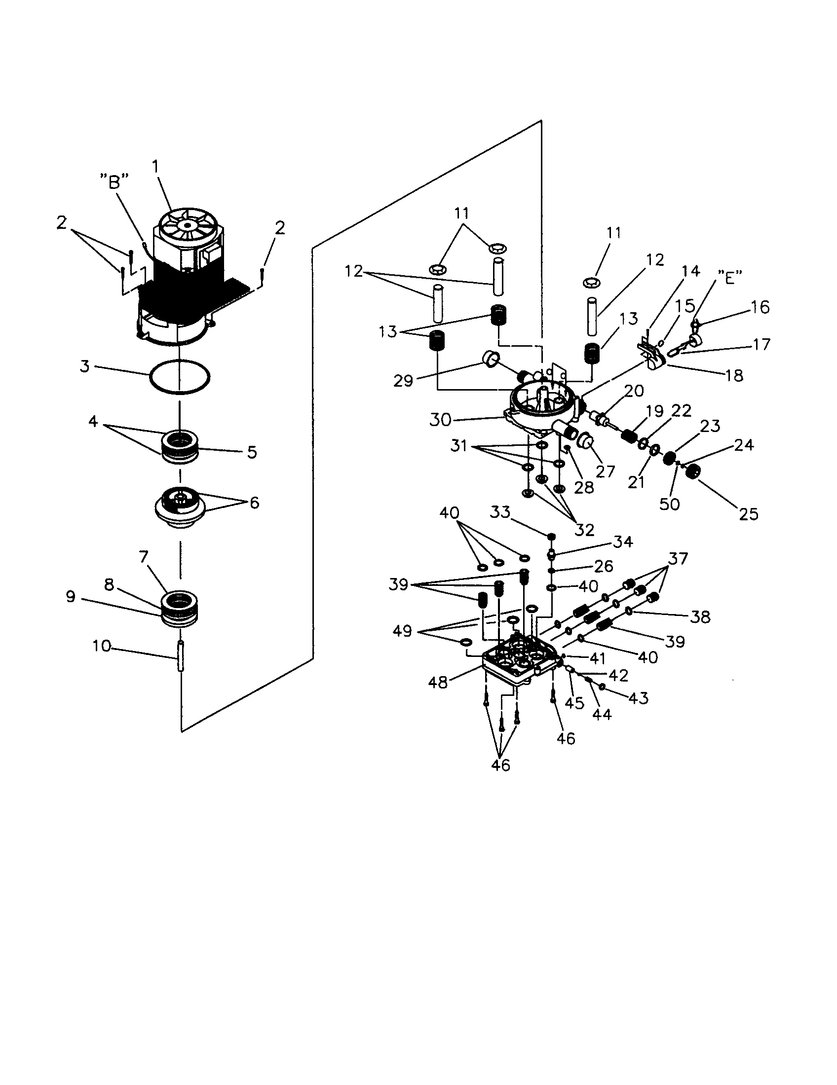 Pump/motor