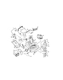 Rotary lawn mower
