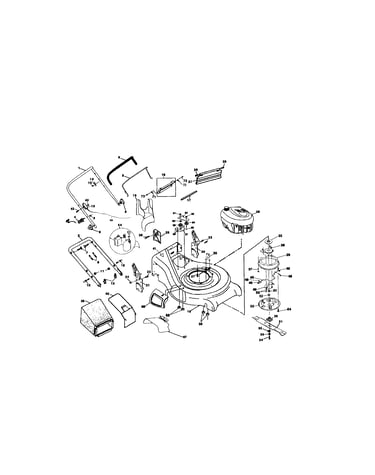 Rotary lawn mower