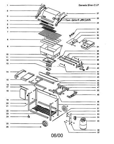 Gas grill