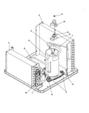 Compressor assembly