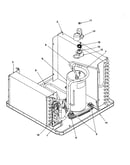 Compressor assembly
