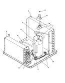 Compressor assembly