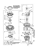 Pump and motor