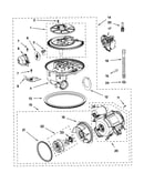 Pump and motor