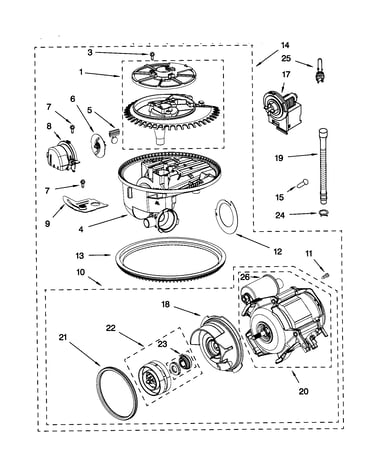 Pump and motor