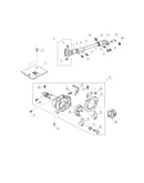 Needle plate/shuttle race body