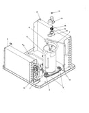 Compressor assembly