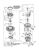 Pump and motor