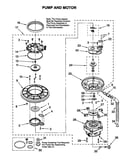 Pump and motor