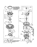 Pump and motor