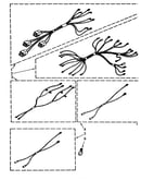 Wiring