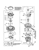 Pump and motor