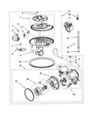 Pump and motor