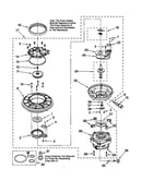 Pump and motor