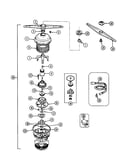 Pump and motor