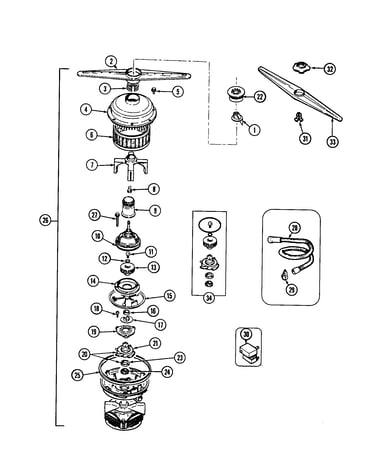 Pump and motor