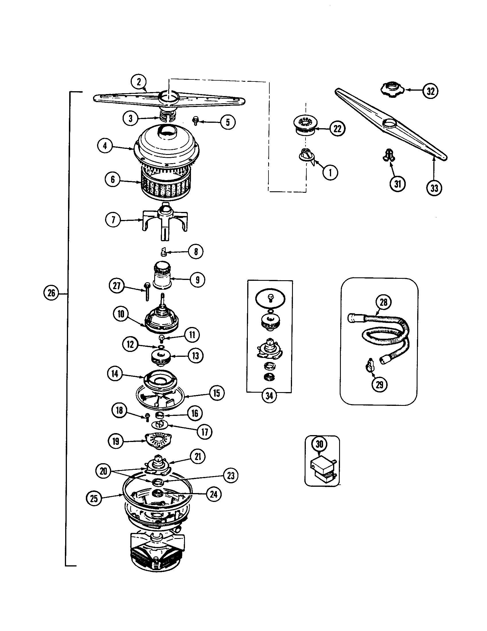 Pump and motor