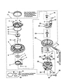 Pump and motor