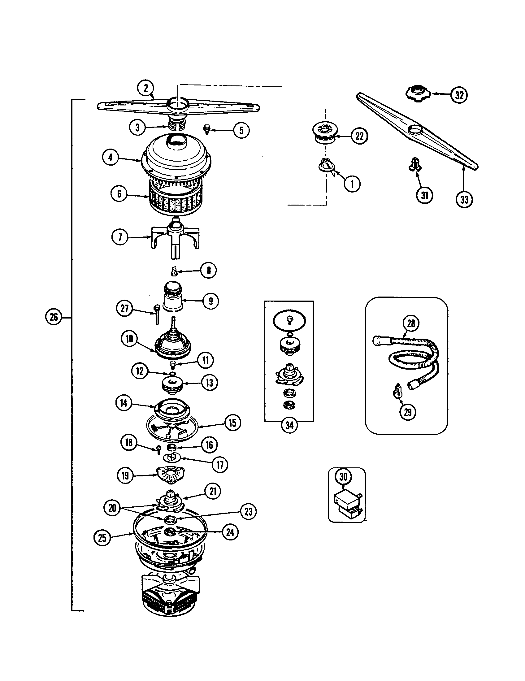 Pump and motor