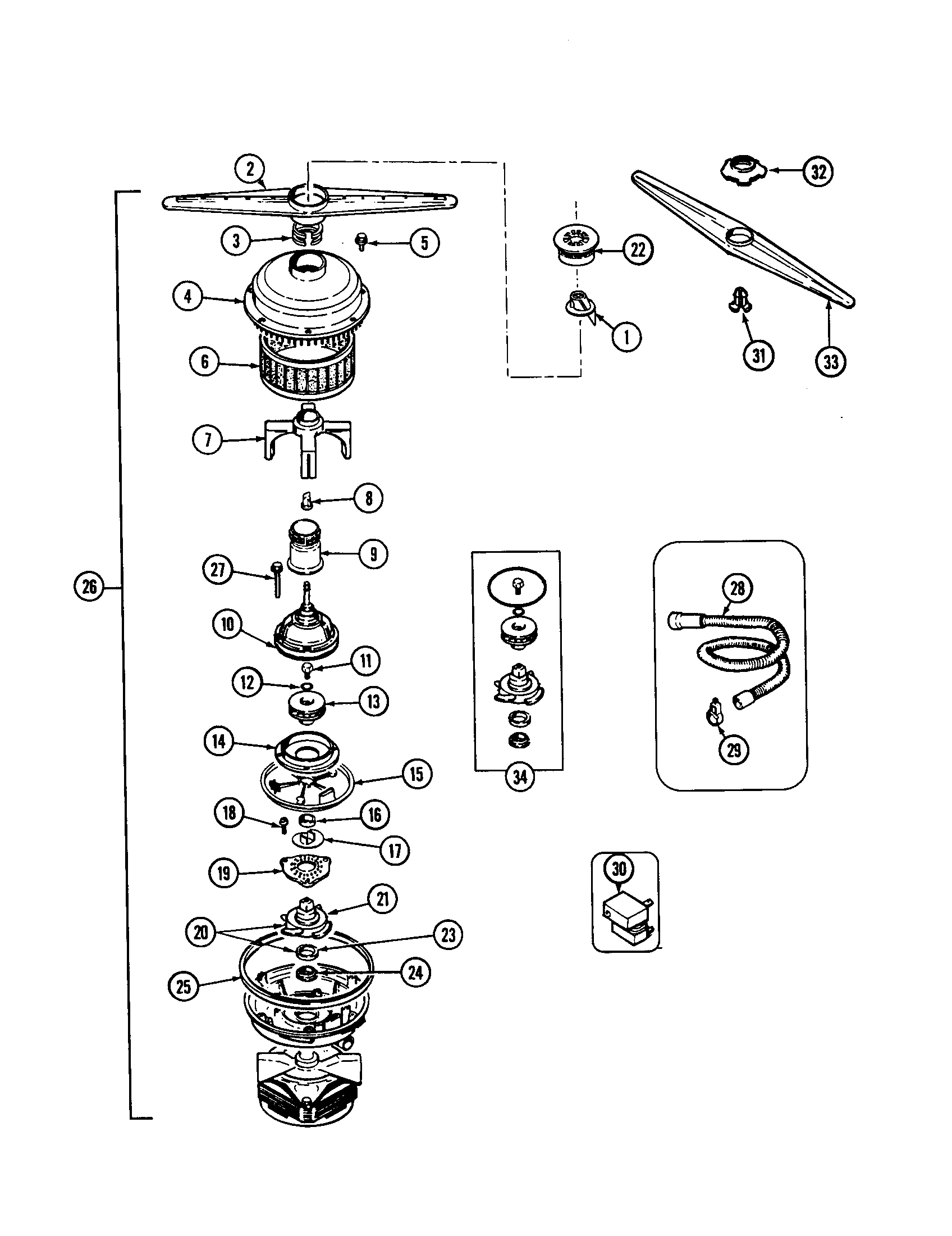 Pump and motor
