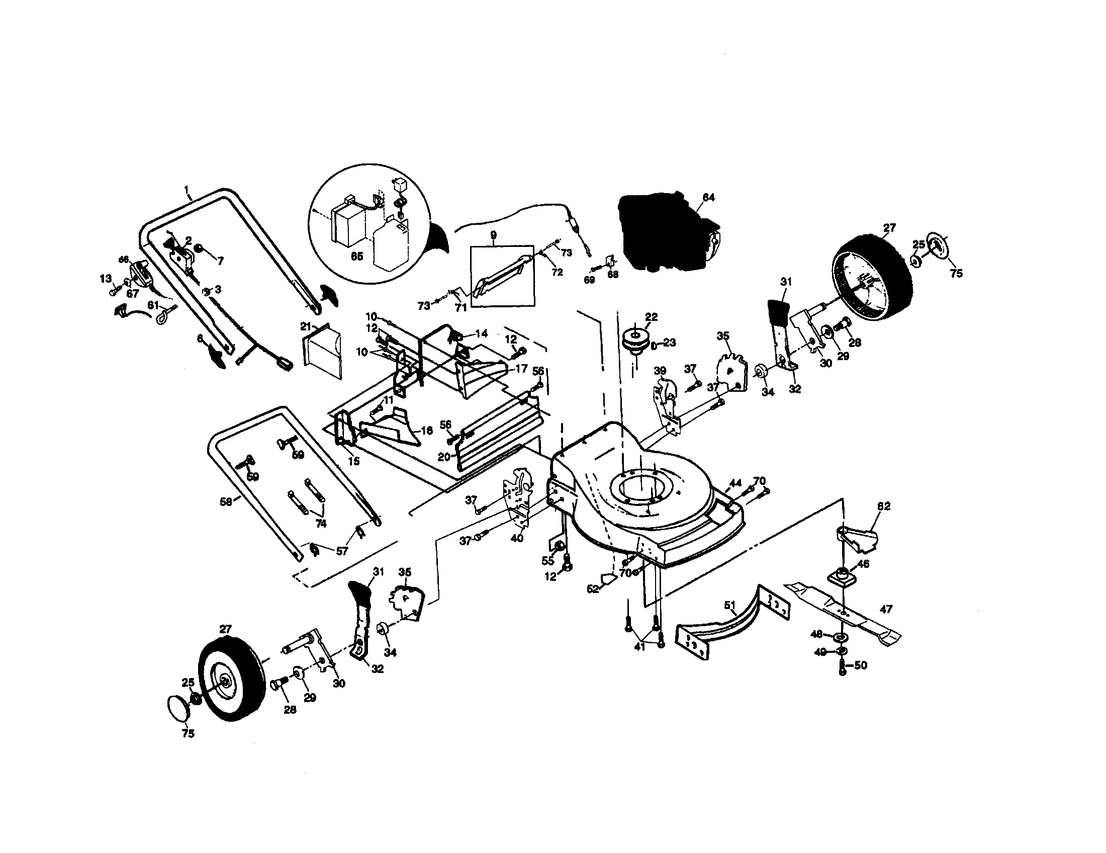 Rotary lawn mower
