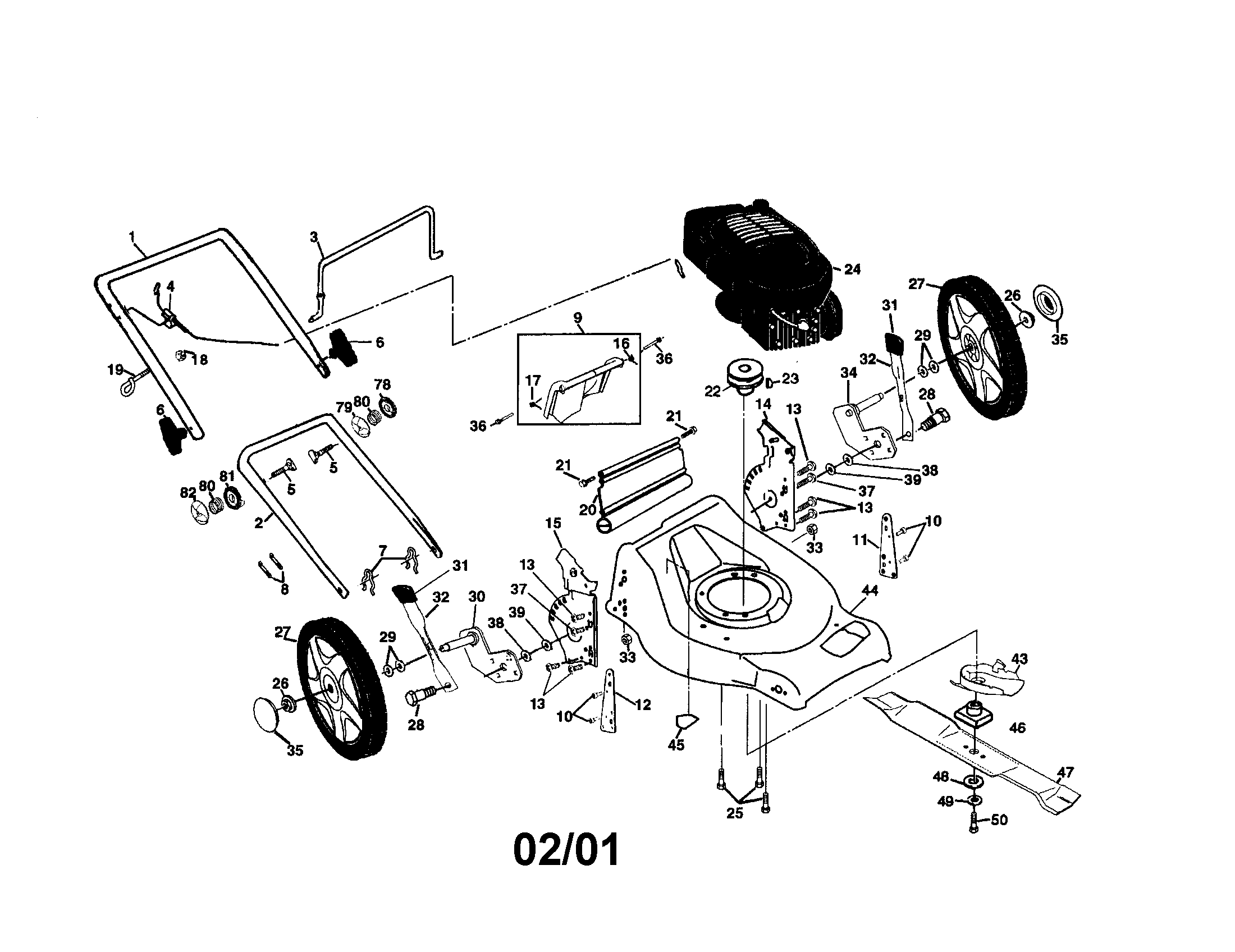 Rotary lawn mower