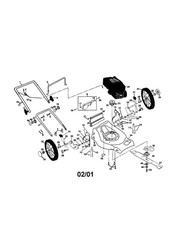 Rotary lawn mower
