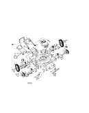 Rotary lawn mower