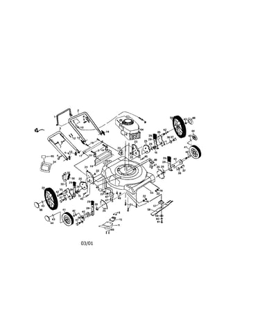 Rotary lawn mower