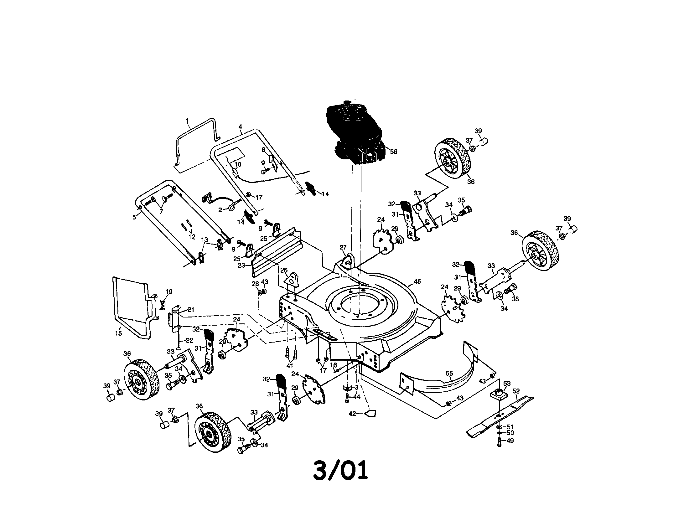 Rotary lawn mower