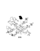 Rotary lawn mower