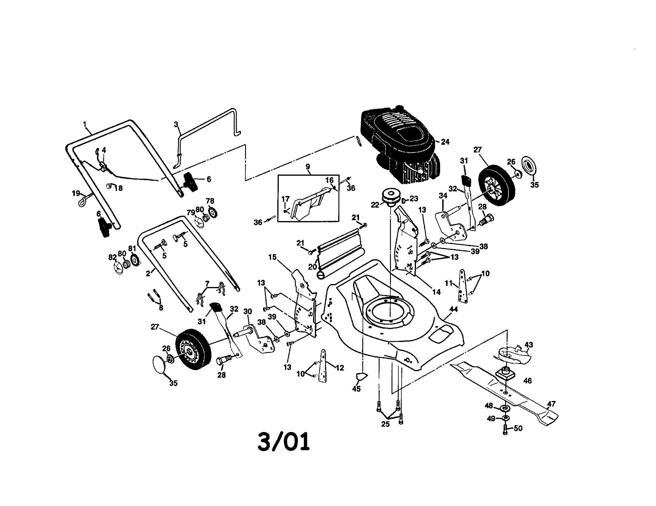 Rotary lawn mower