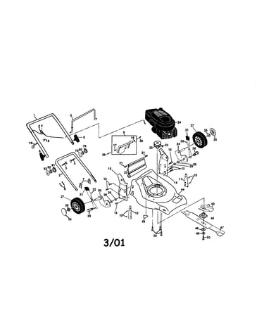 Rotary lawn mower