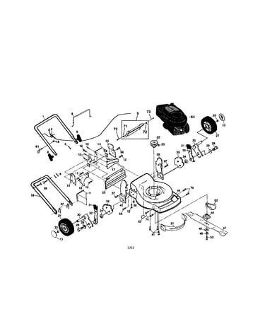 Rotary lawn mower