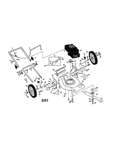 Rotary lawn mower