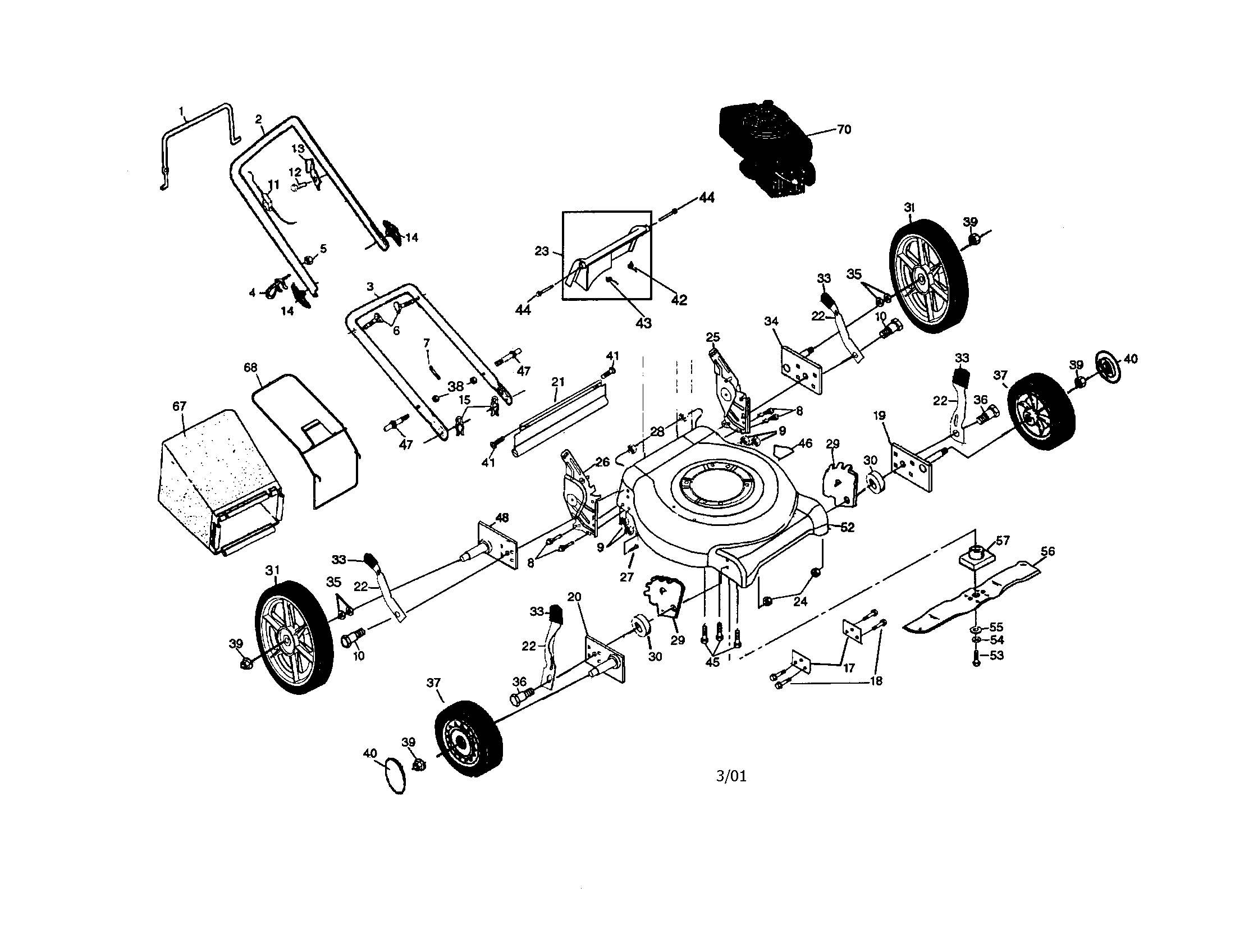 Rotary lawn mower