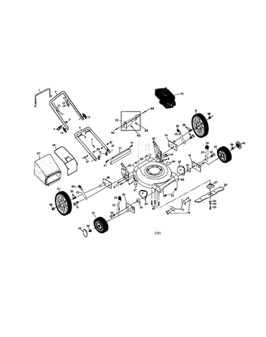 Rotary lawn mower