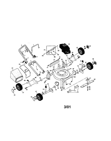 Rotary lawn mower