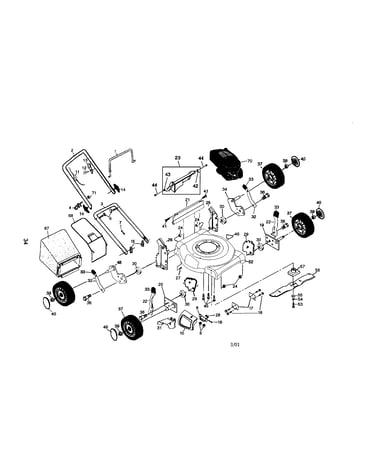 Rotary lawn mower