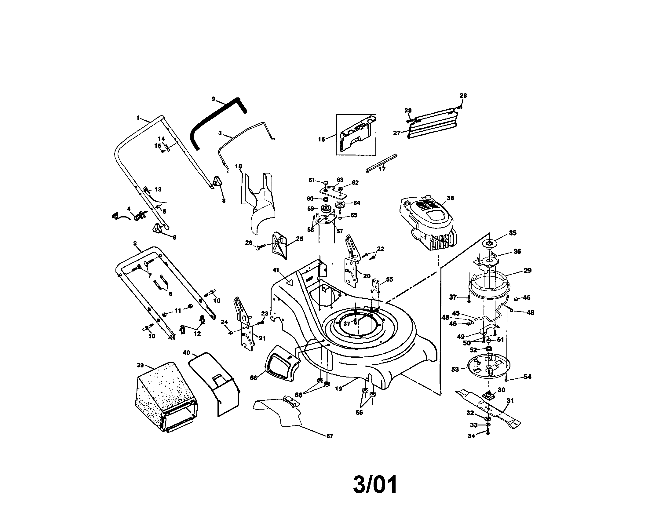 Rotary lawn mower