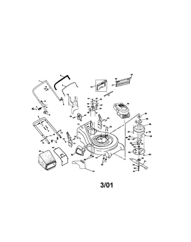 Rotary lawn mower