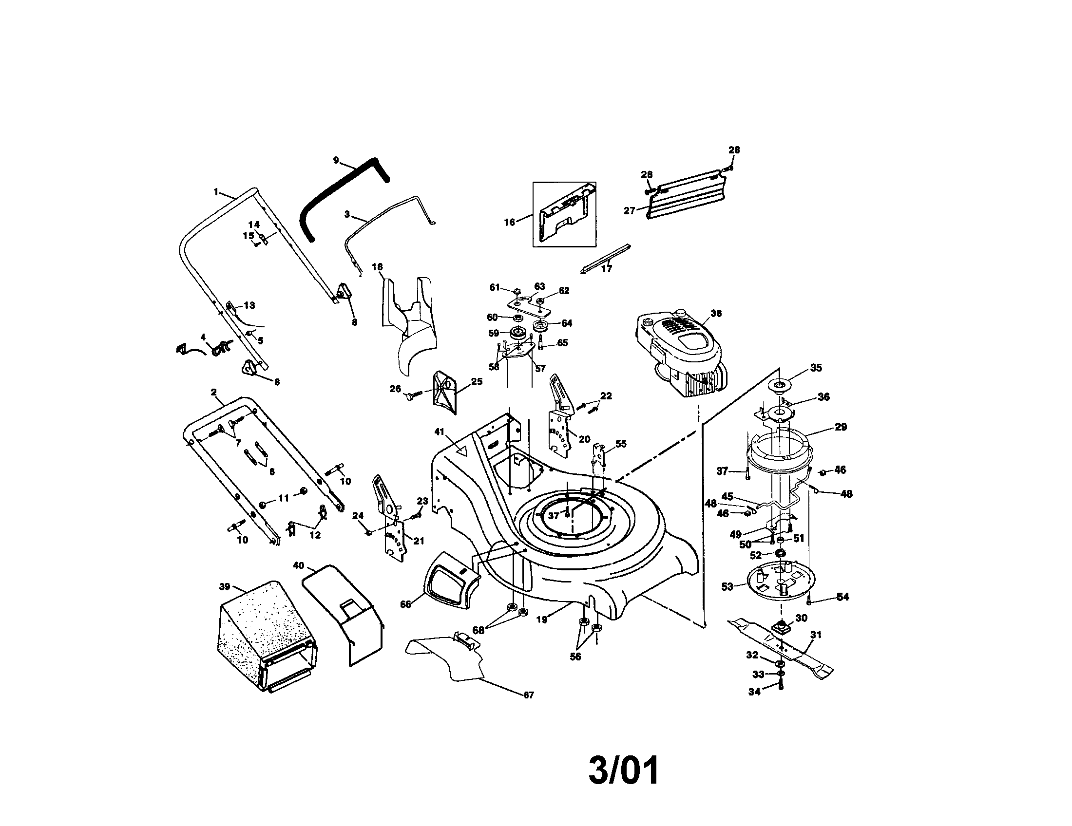 Rotary lawn mower