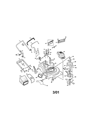 Rotary lawn mower
