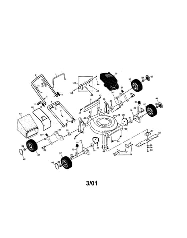 Rotary lawn mower