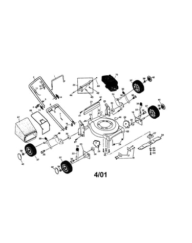 Rotary lawn mower
