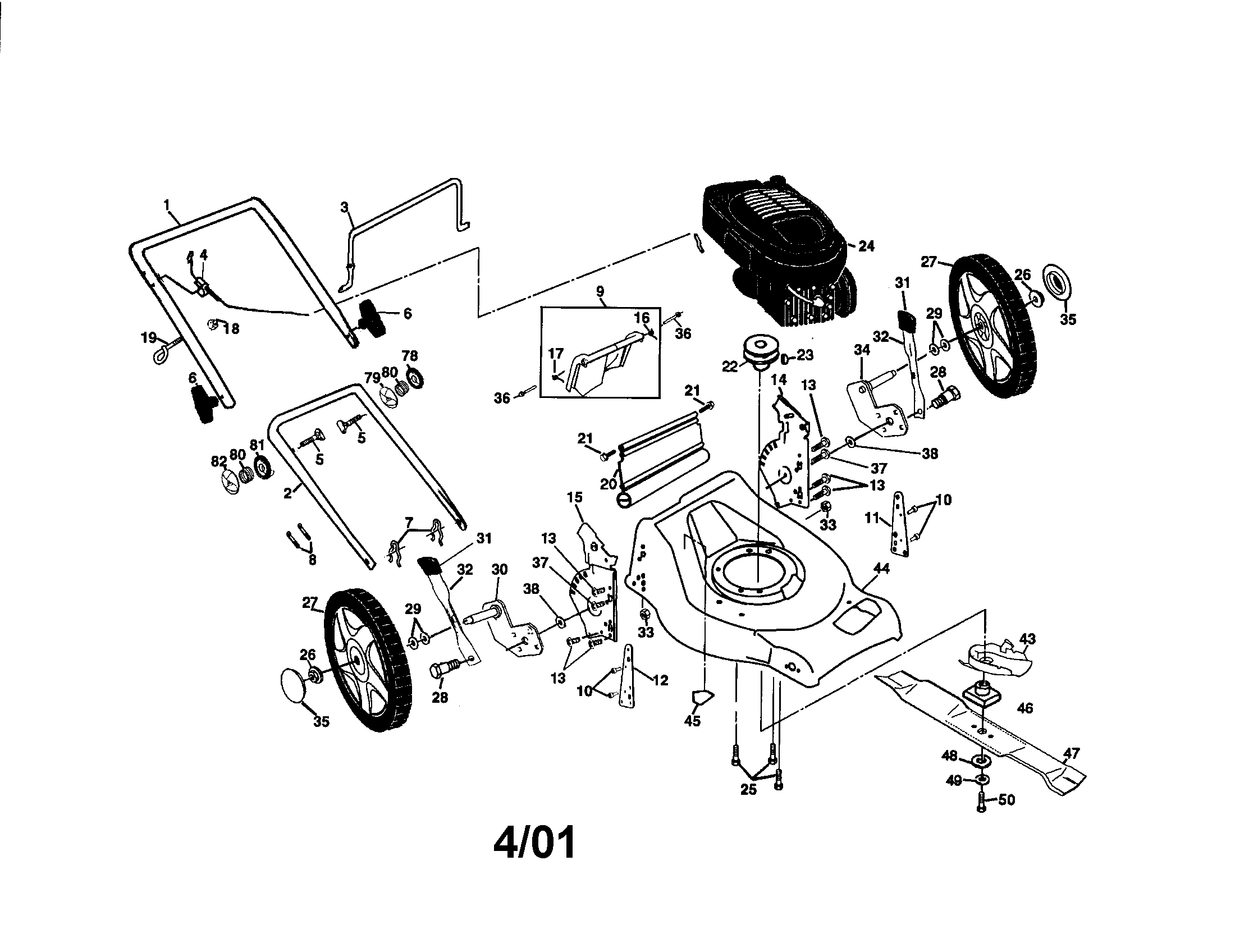 Rotary lawn mower