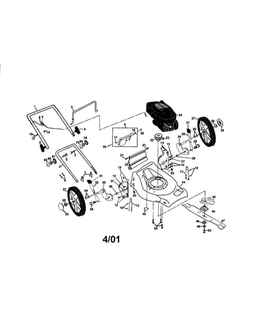 Rotary lawn mower
