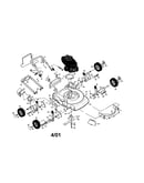 Rotary lawn mower
